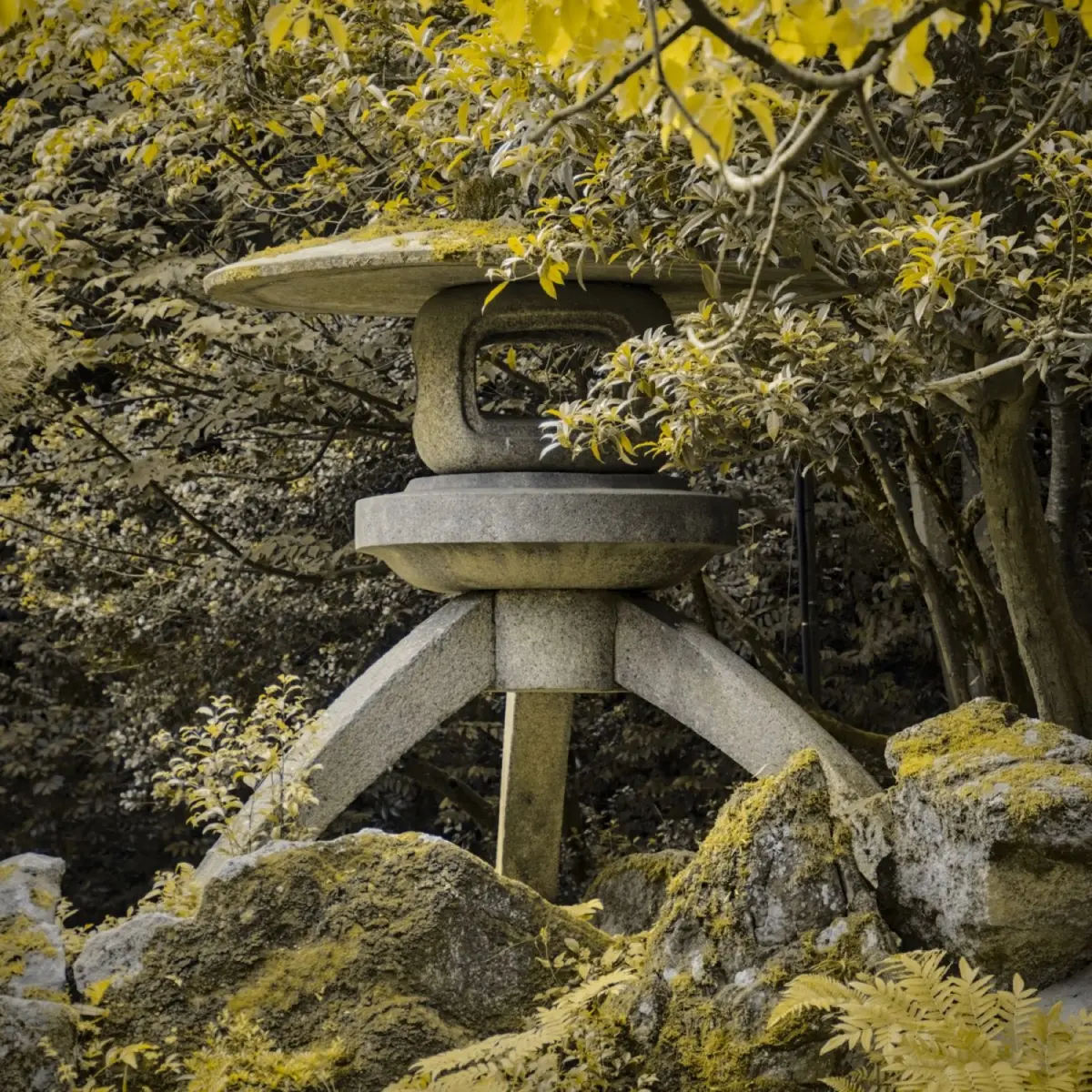 What Is Sencha? Japan's Everyday Green Tea