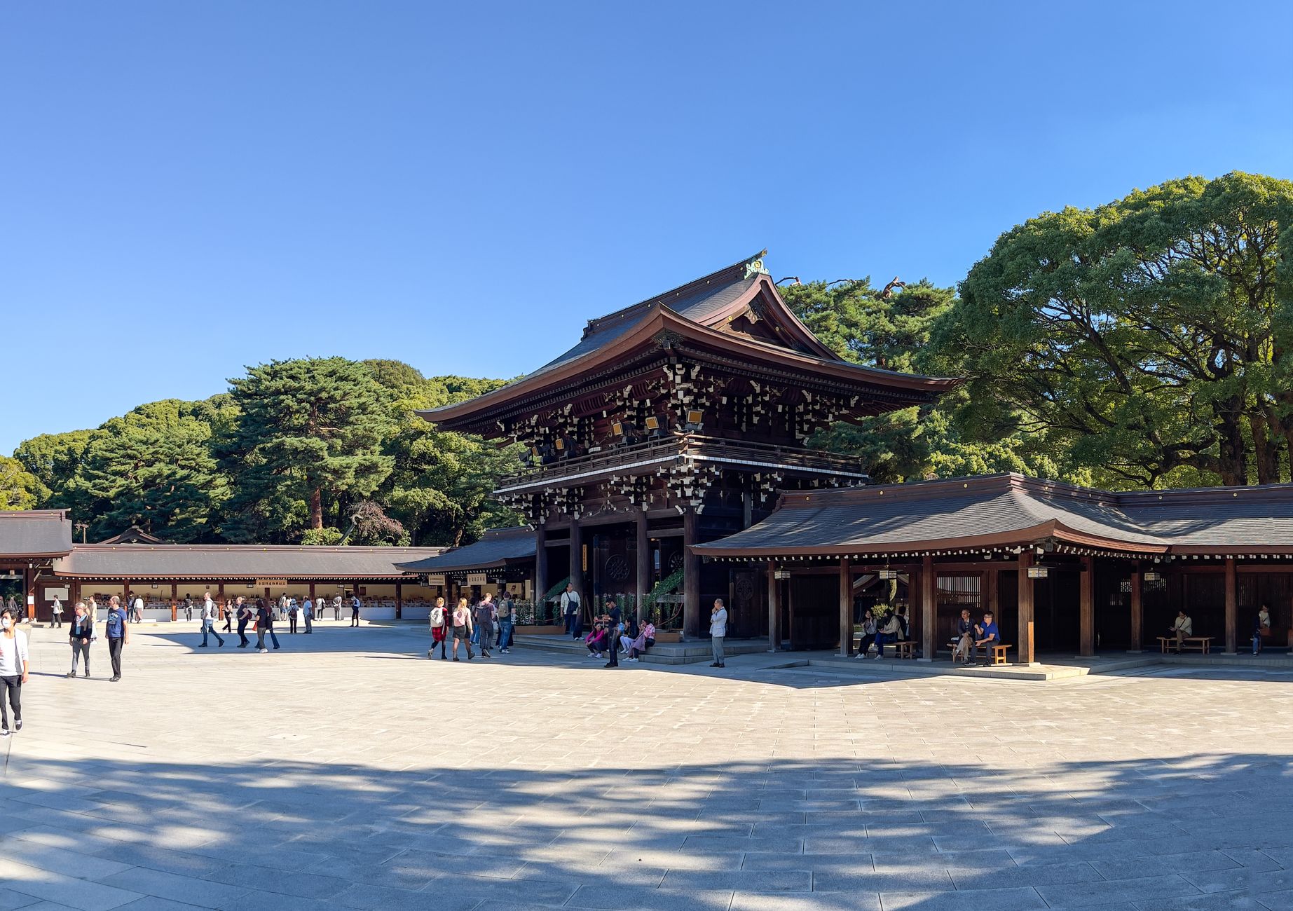 Visitor bowing at a wooden shrine torii gate with stone lanterns lining the gravel path in morning light.