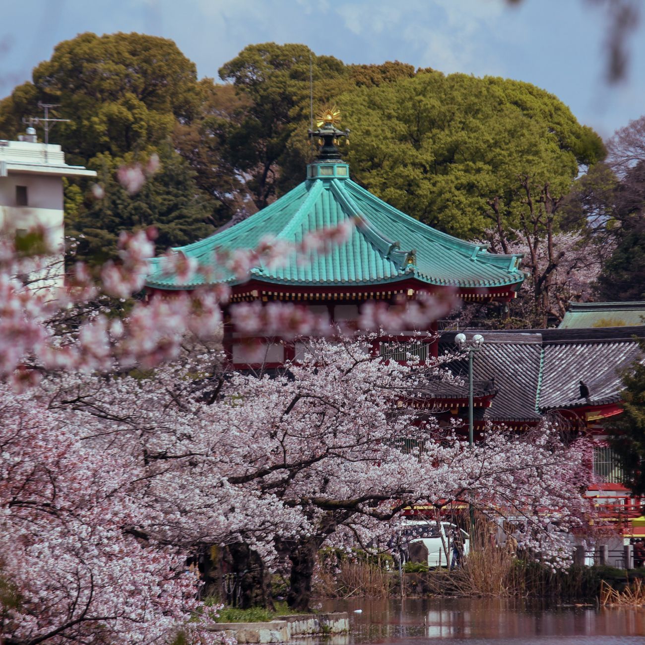 Kigo: The Art of Seasonal Words in Japanese Poetry