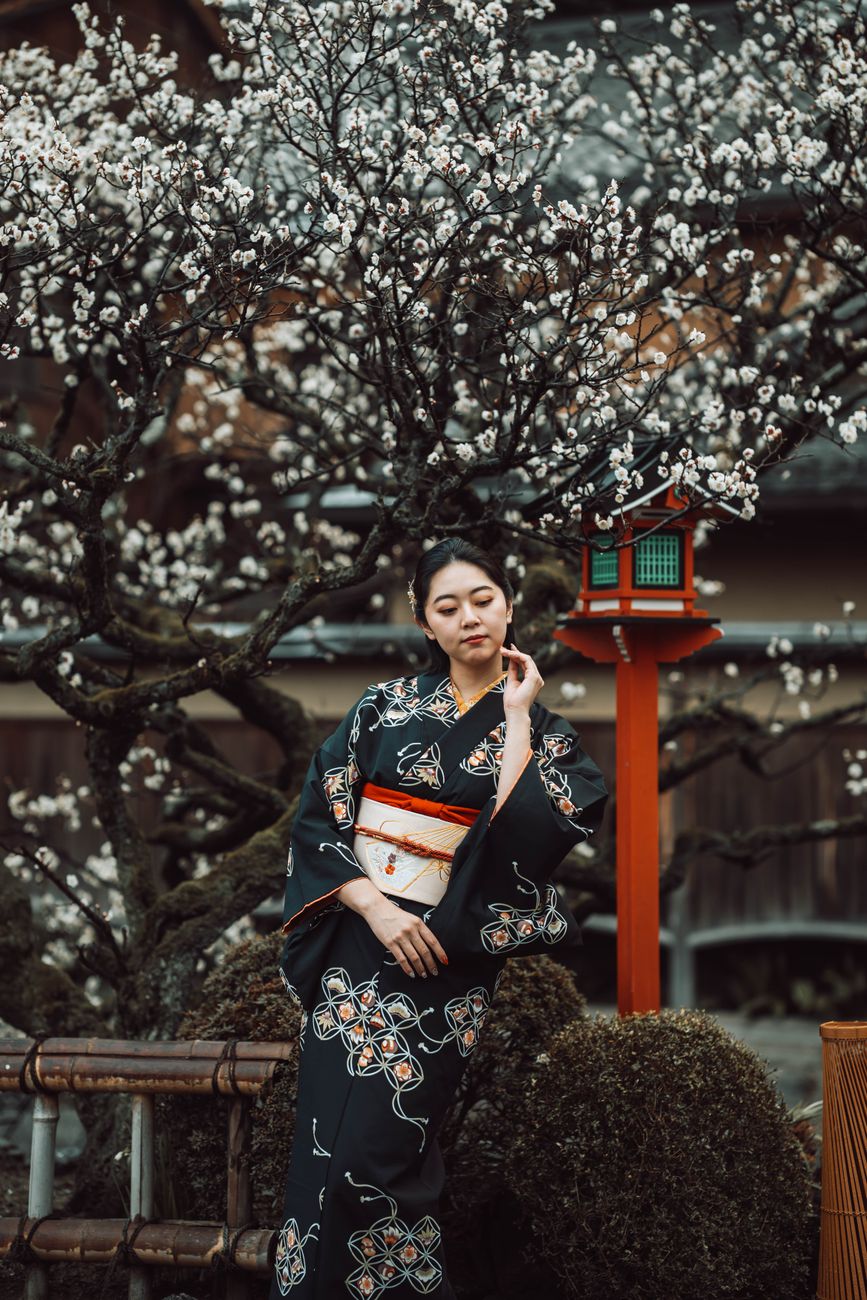 Pink and white plum blossoms on dark branches against a pale winter sky in early spring Japan.
