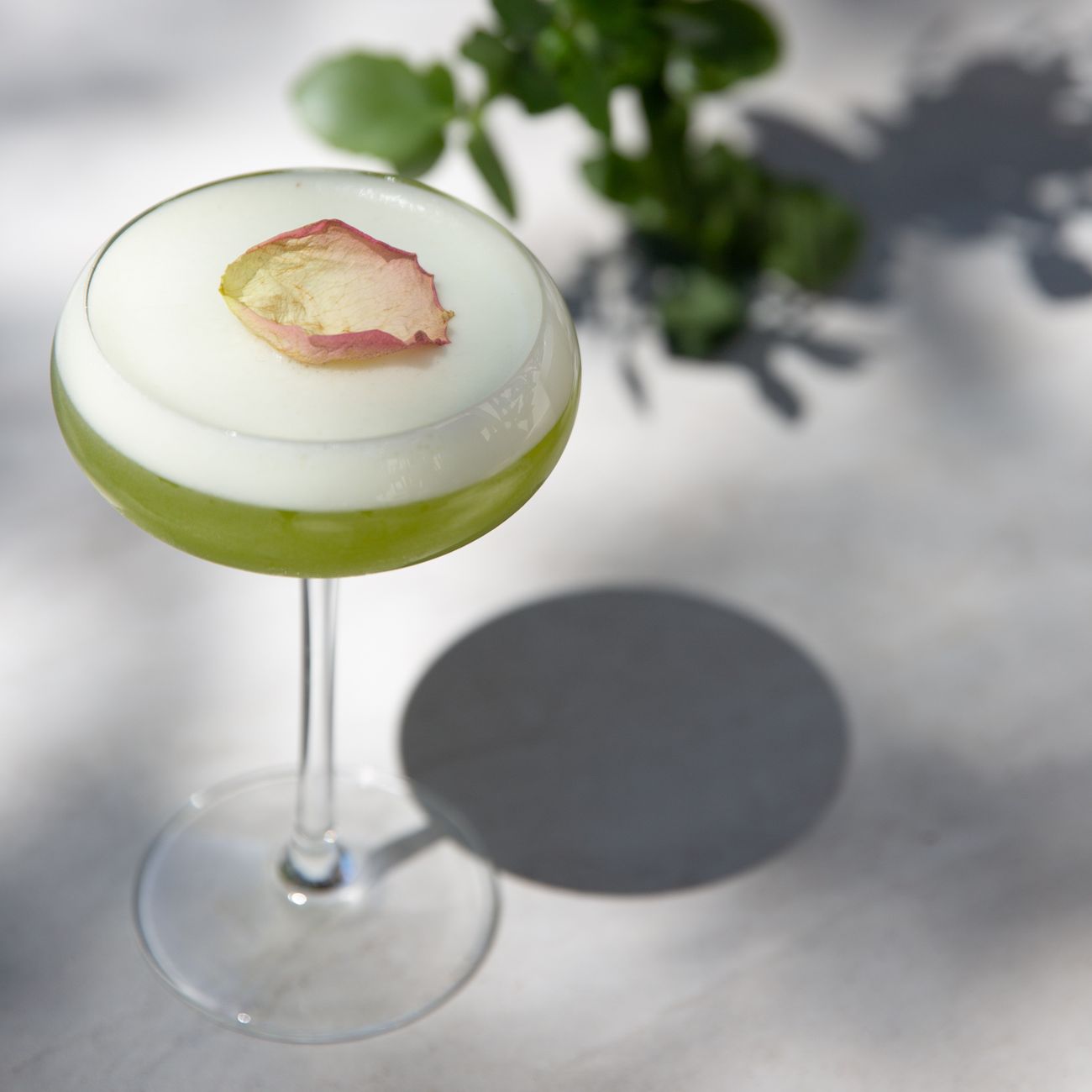 What Makes Nishio Matcha Distinctive: Aichi's Green Tea Heritage