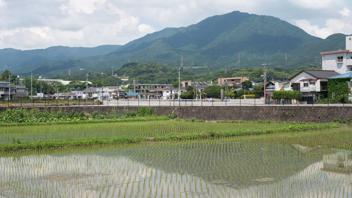 Terraced rice paddies with flooded fields reflecting sky, wooden tools and earthenware pots arranged along earthen pathways.