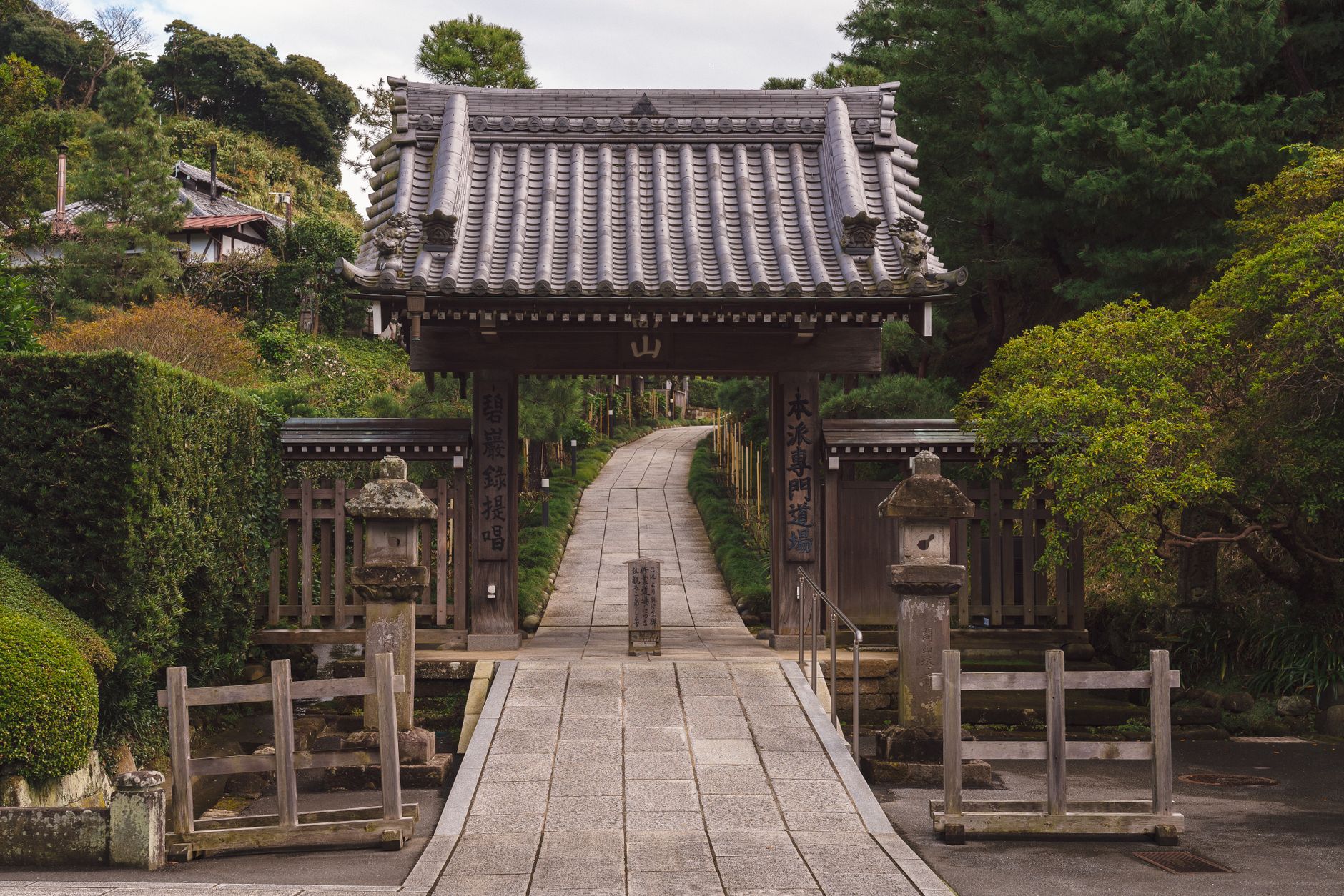 Cherry blossoms falling onto a weathered stone path beside a traditional Japanese garden pond at dusk.