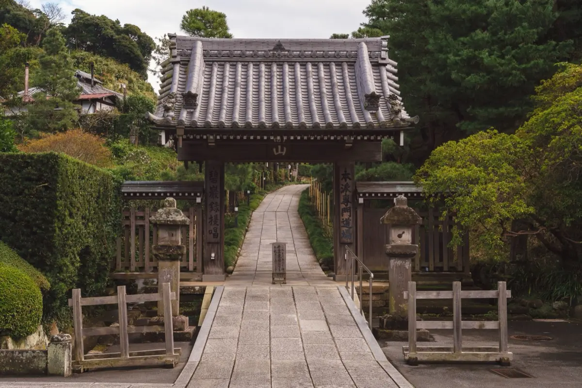 Cherry blossoms falling onto a weathered stone path beside a traditional Japanese garden pond at dusk.