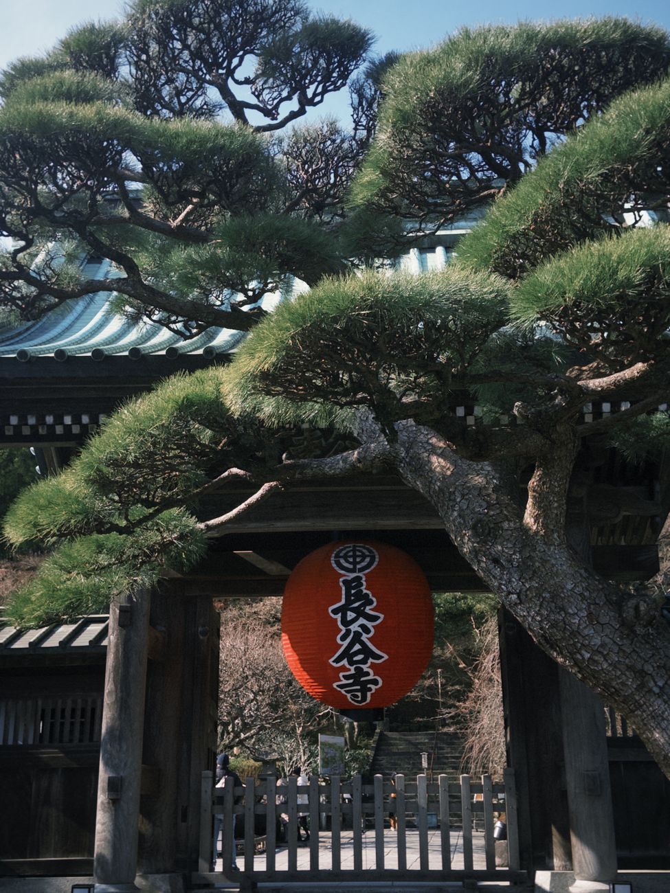 Stone garden with raked gravel patterns and moss-covered rocks at a traditional Japanese Zen temple in Kyoto.