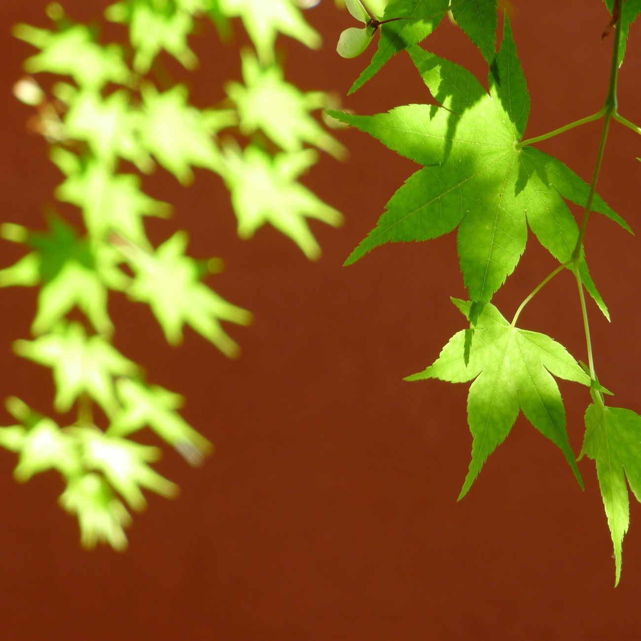 How Zen Philosophy Shaped Modern Minimalist Design