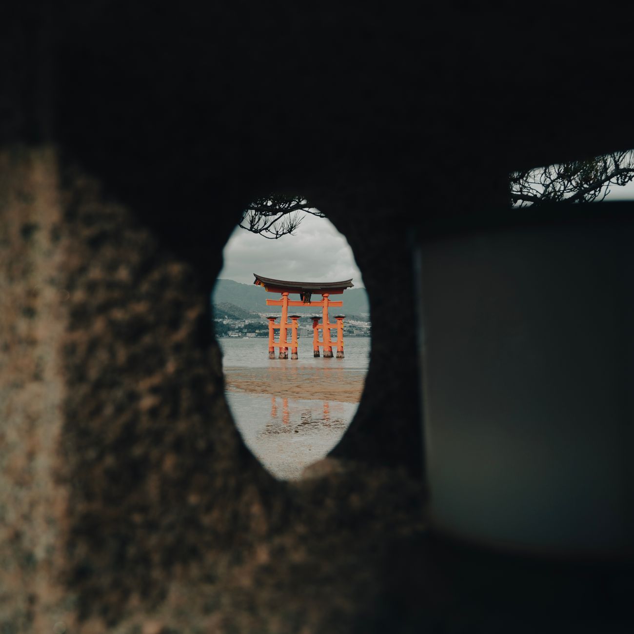 Understanding the Ikigai Diagram: The Four Pillars of Purpose in Japanese Philosophy