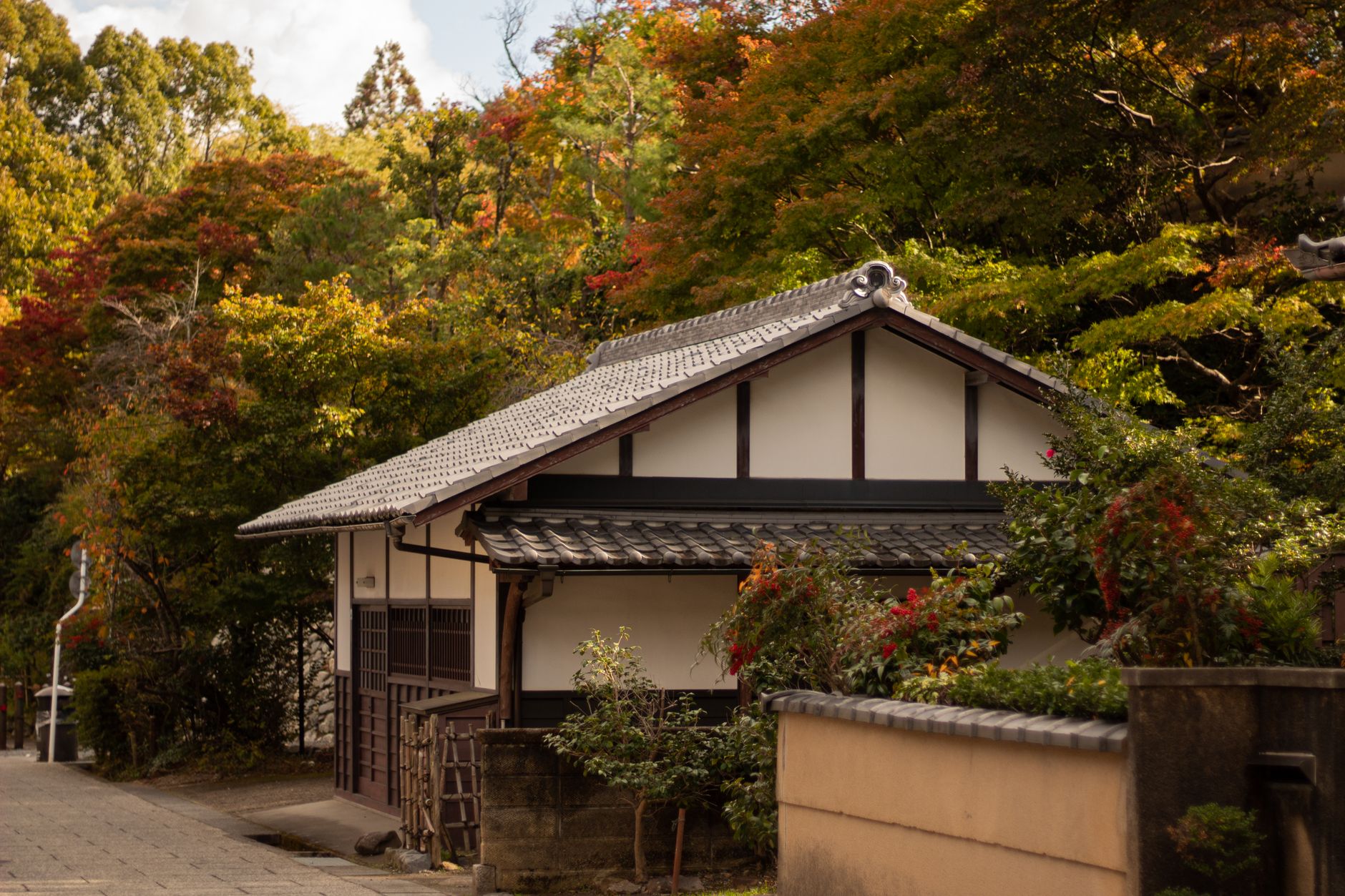 Traditional Japanese home interior with open shoji screens revealing a carefully tended garden displaying vibrant autumn maple leaves.