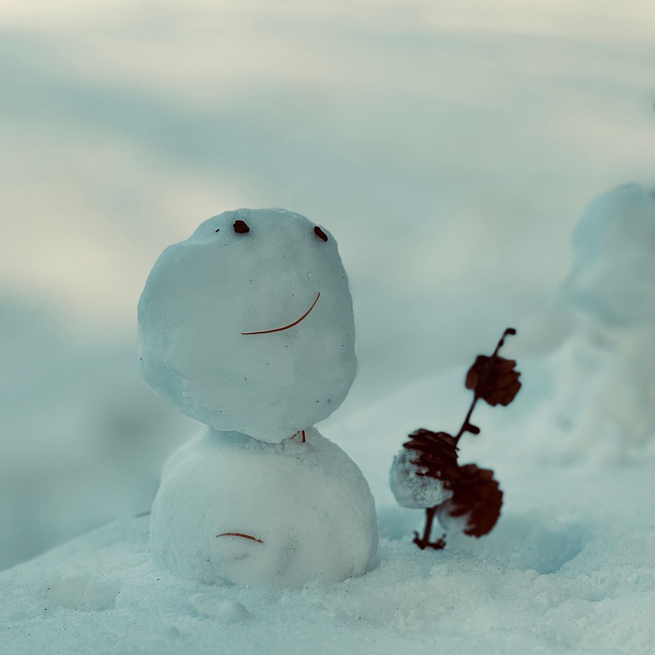 Japanese Seasonal Living: How to Align Your Life With Nature's Rhythm
