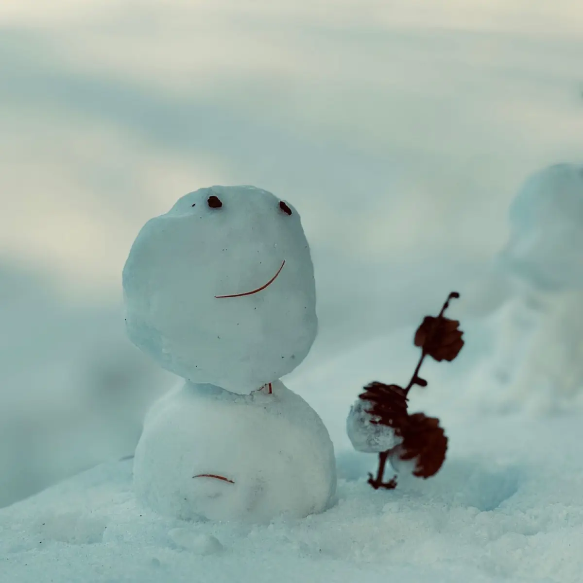 Japanese Seasonal Living: How to Align Your Life With Nature's Rhythm