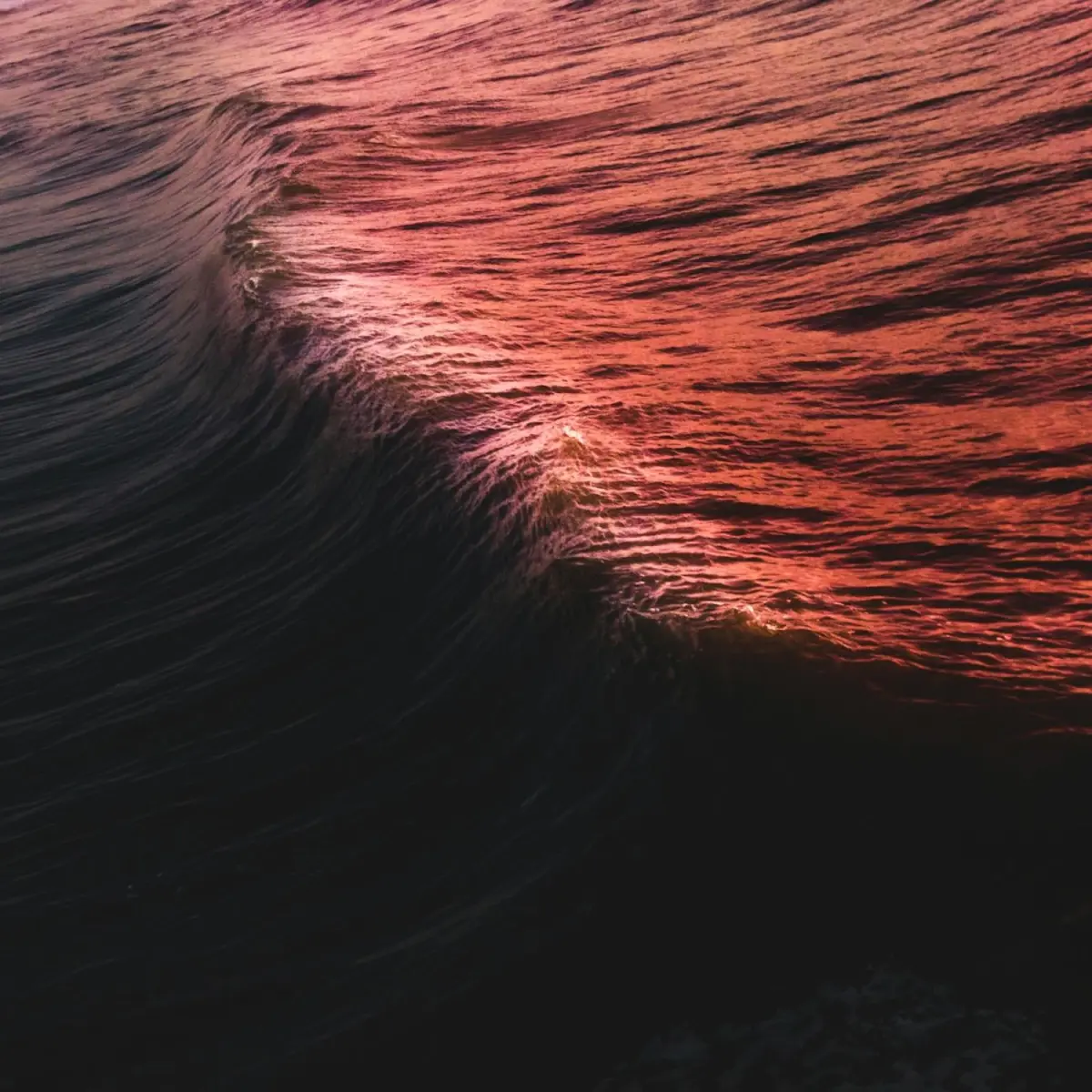 The Great Wave: The Story Behind Japan's Most Famous Image