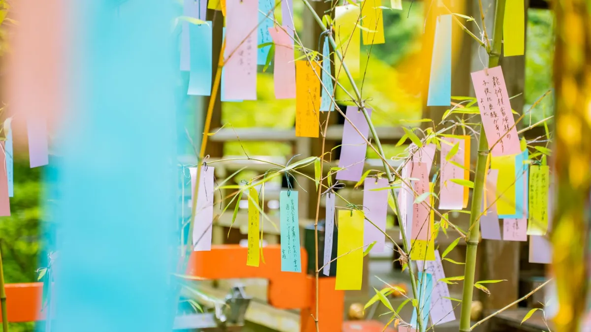 Colorful paper strips and origami decorations hanging from bamboo branches during Japan's summer star festival celebration.