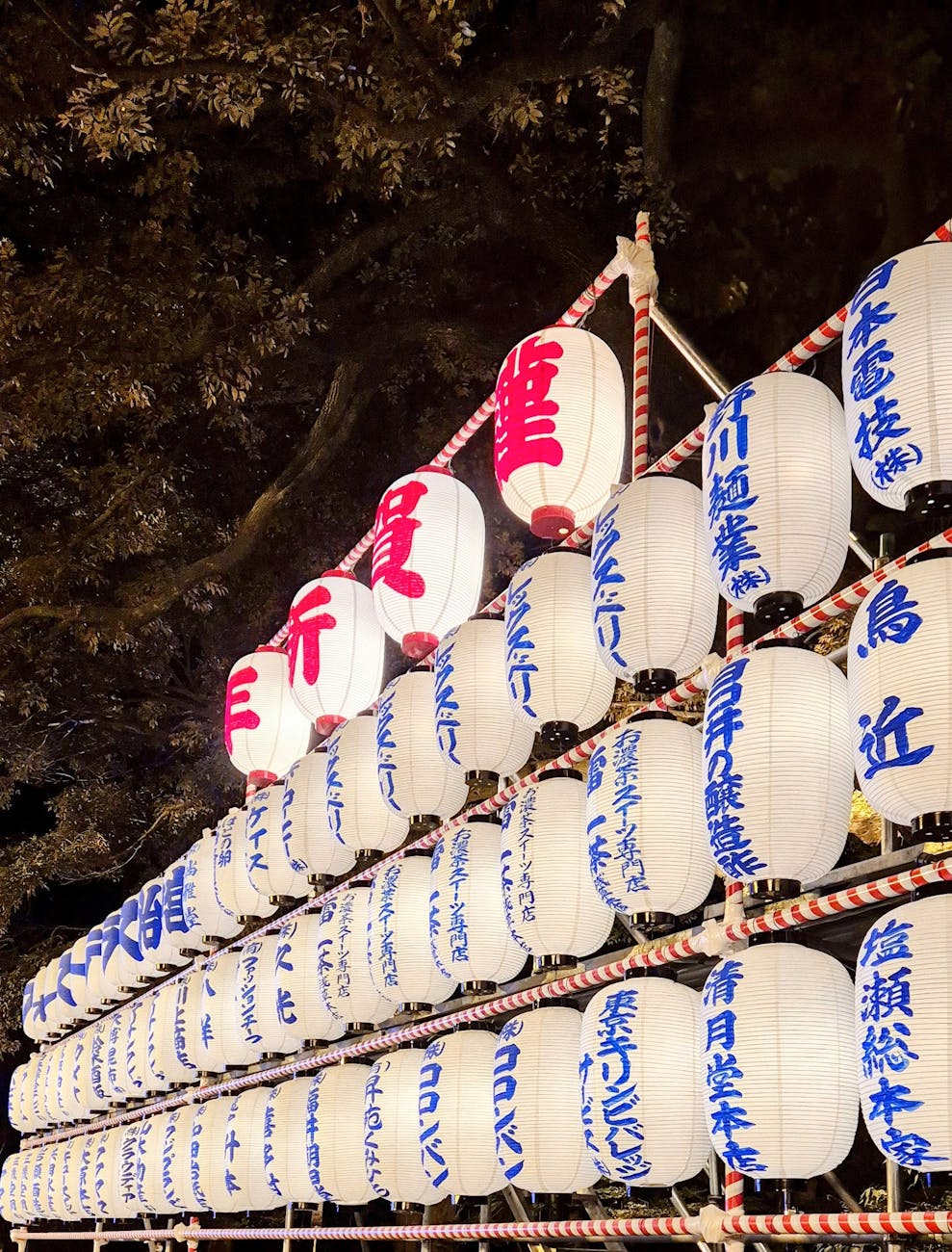 Colorful paper strips and origami decorations hanging from bamboo branches during Japan's summer star festival celebration.