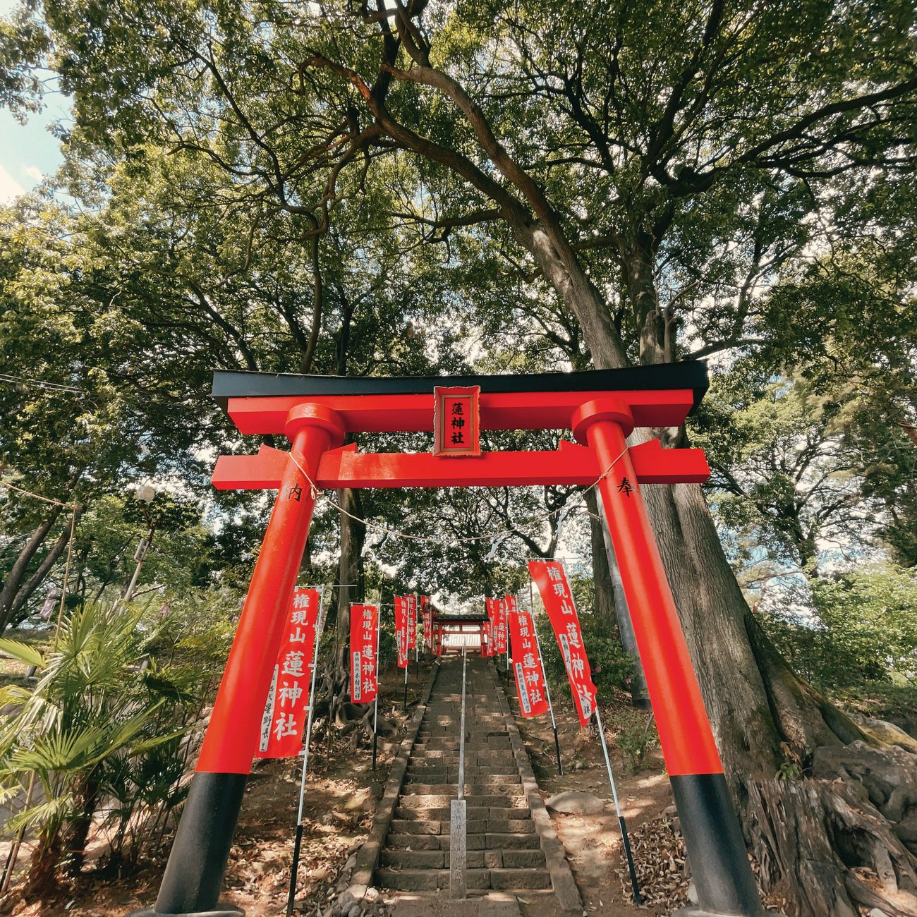 The Cultural Meaning of Visiting a Shrine: Understanding Japan's Sacred Spaces