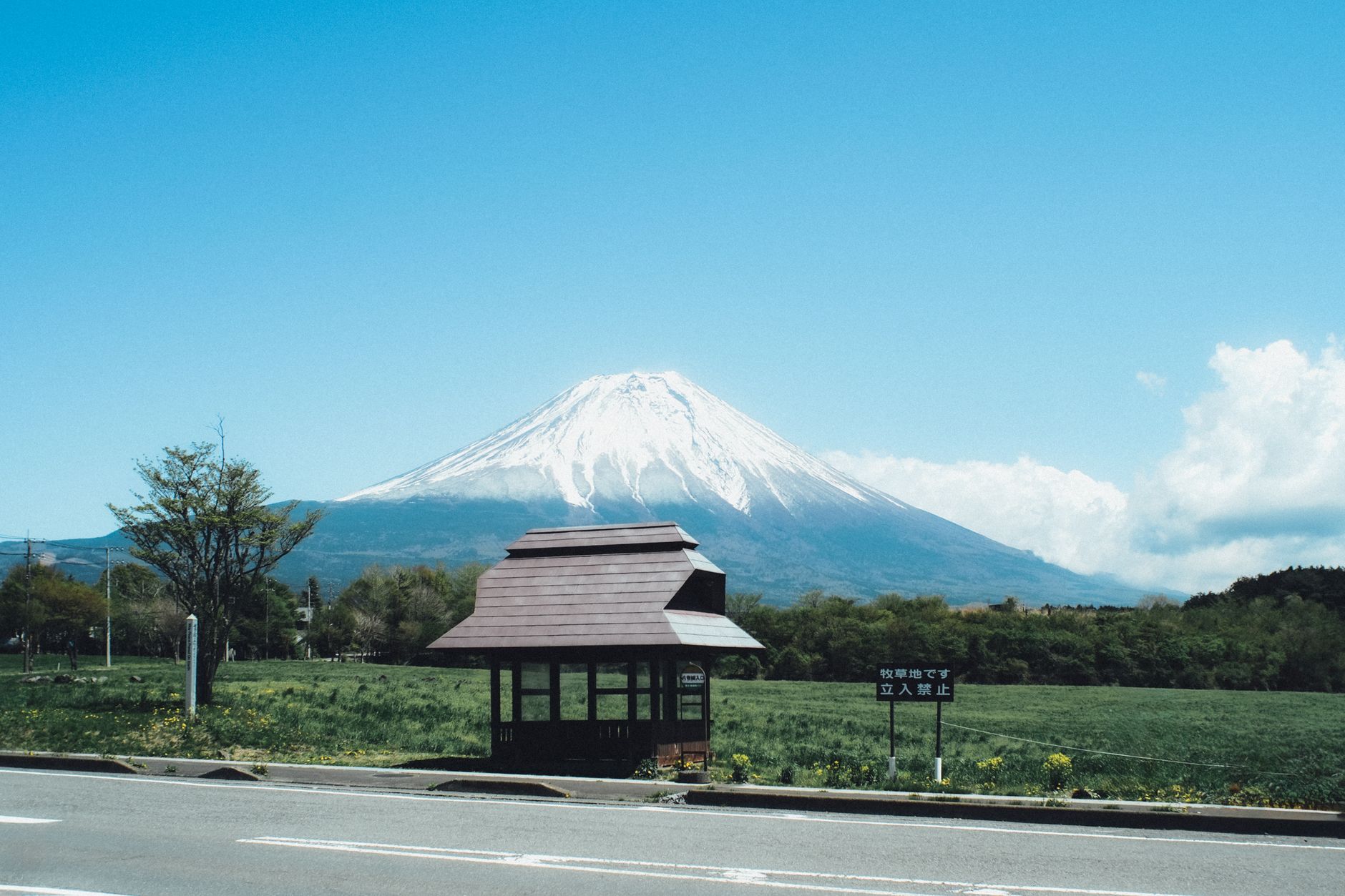 Mount Fuji rising above morning clouds with a traditional torii gate in the foreground at Lake Kawaguchi