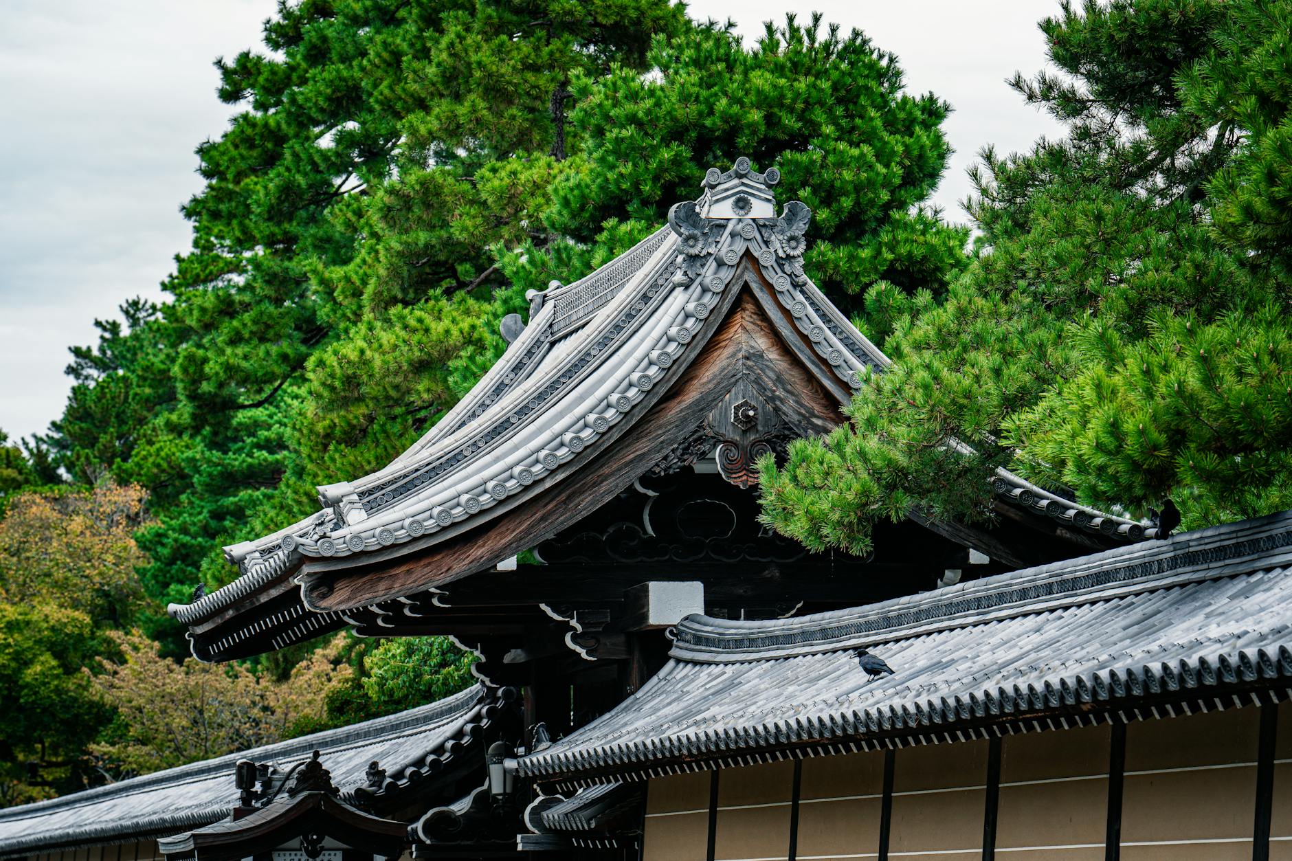 Traditional Japanese engawa veranda with wooden floorboards extending along a house exterior, overlooking a peaceful garden with stone lantern.