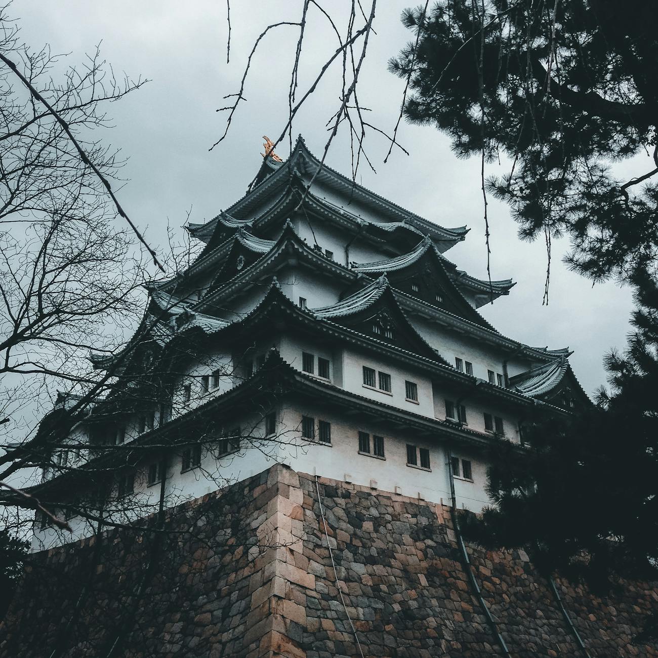 Who Were the Samurai? A Beginner's Guide to Japan's Legendary Warriors