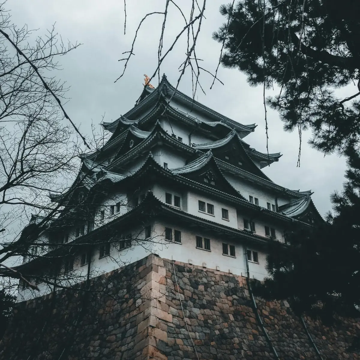 Who Were the Samurai? A Beginner's Guide