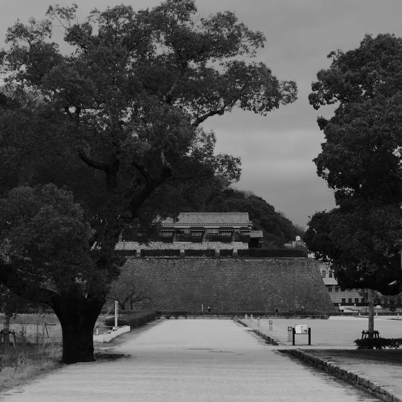 What Was the Edo Period? Japan's 250 Years of Peace and Cultural Flourishing