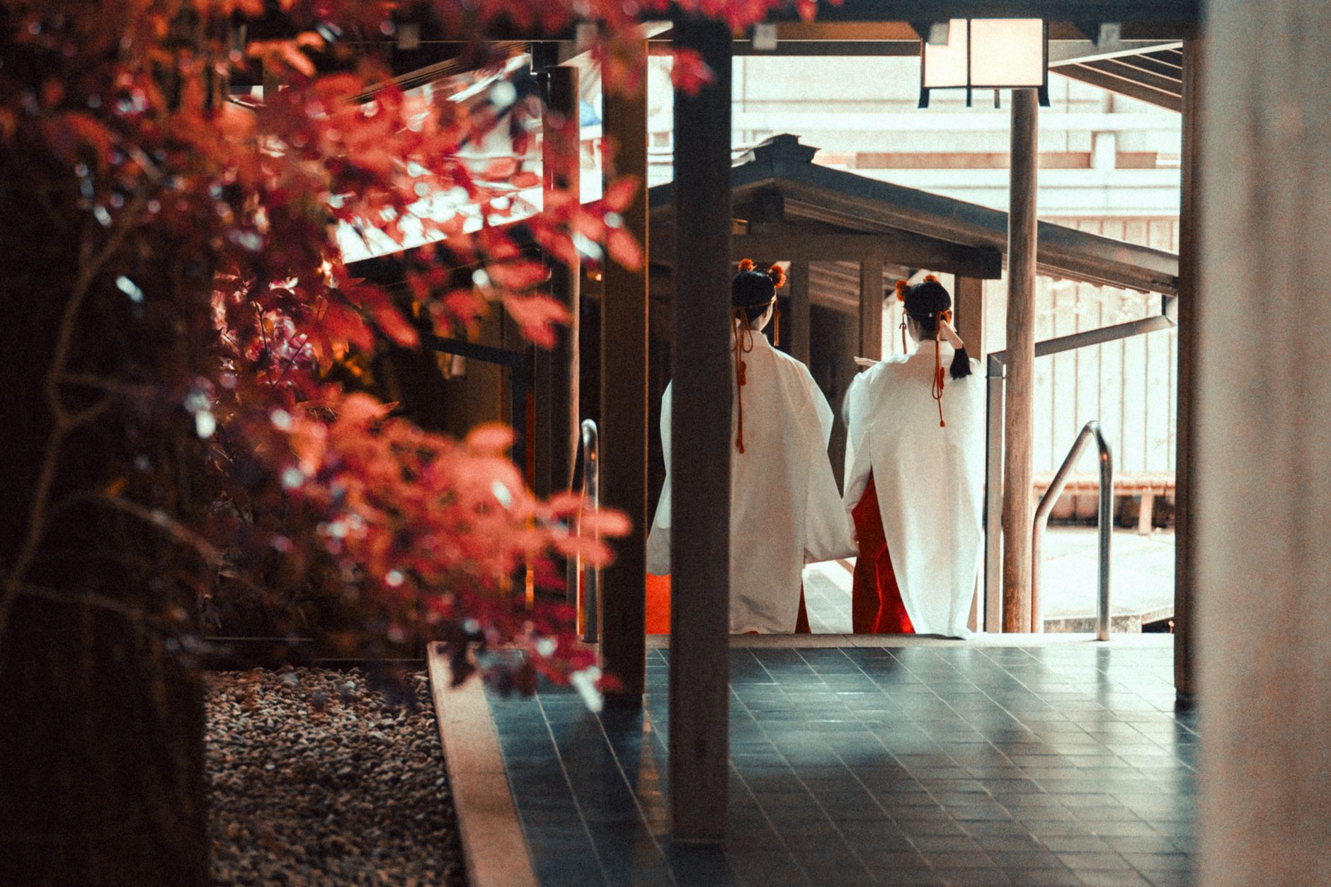 Aristocratic women in layered junihitoe robes gather beneath cherry blossoms during a poetry gathering at the Heian imperial court.