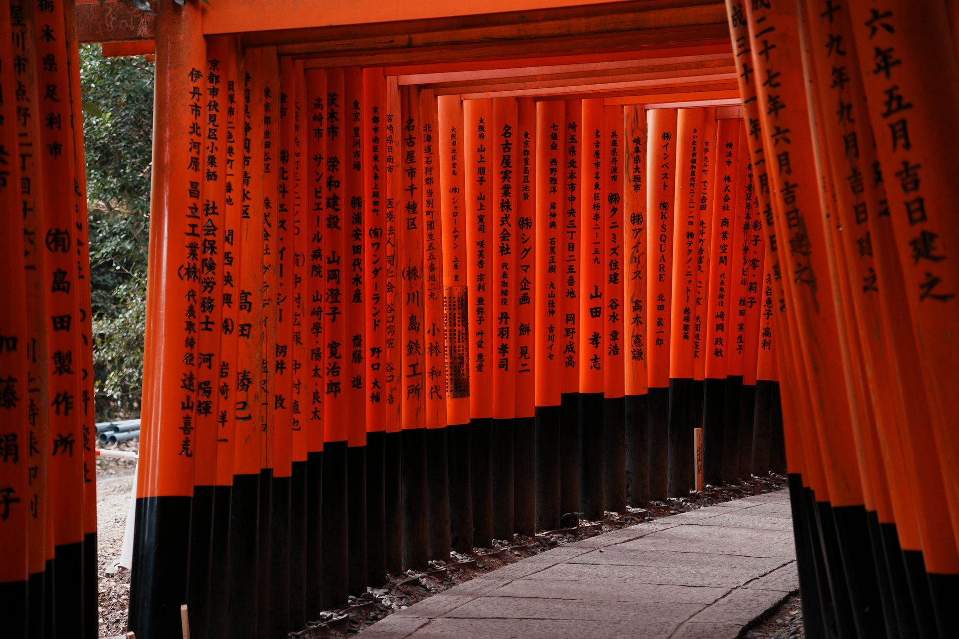 Vermillion torii gate frames a stone path leading to a Shinto shrine, with visitors walking along the left side.