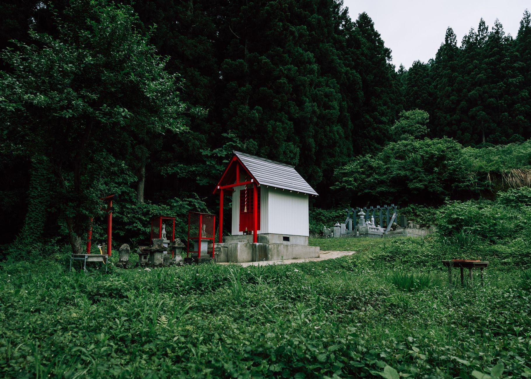 Folded white paper fortunes tied to wooden frame at Japanese shrine with red torii gate visible in background.