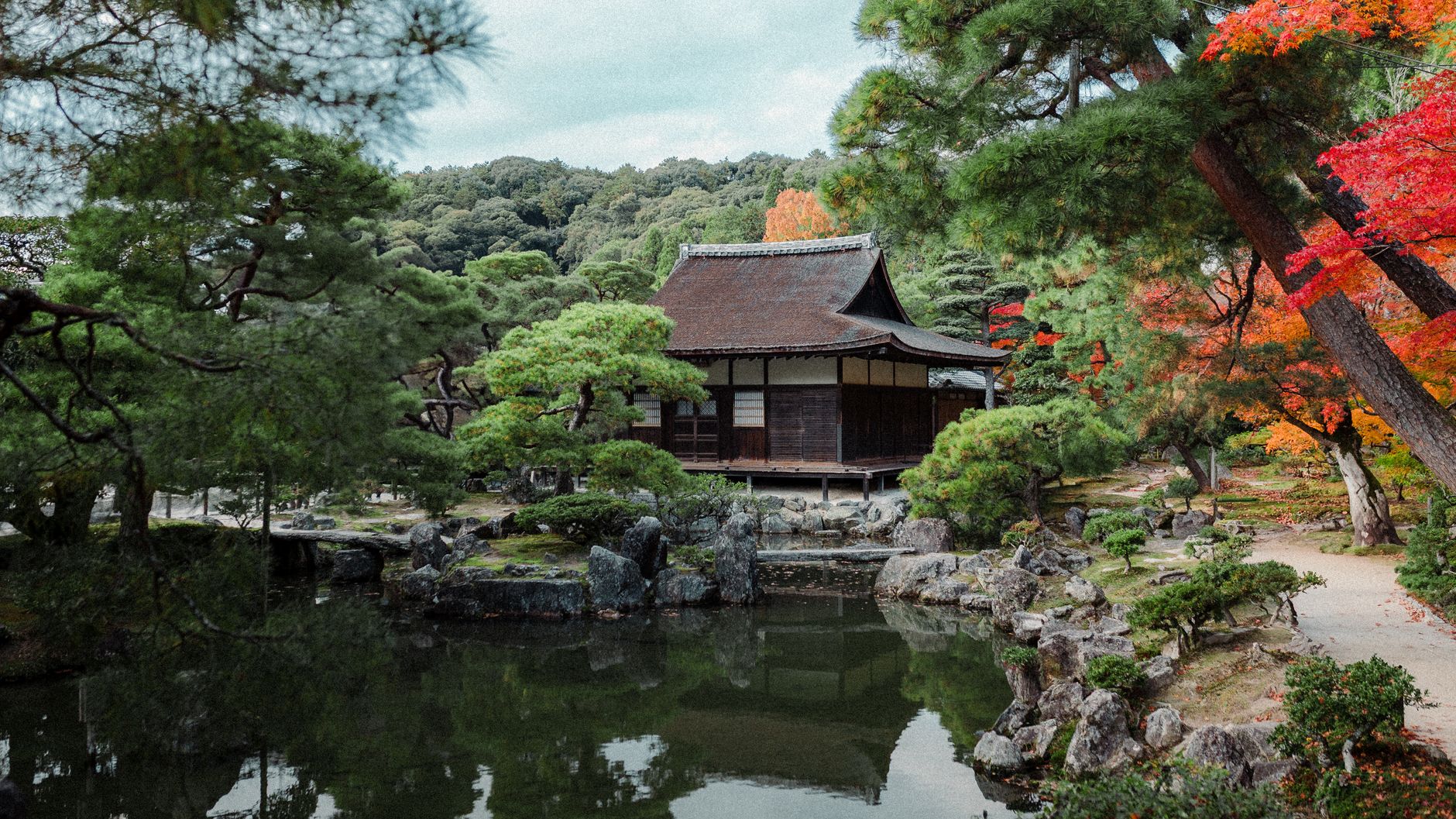 Tranquil Japanese garden with koi pond surrounded by carefully pruned trees, moss-covered stones, and raked gravel patterns.