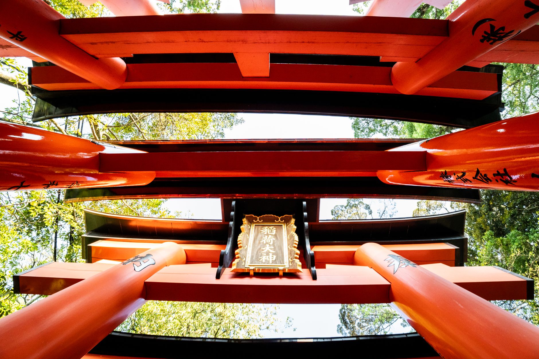 Vermillion torii gates forming a tunnel pathway up Mount Inari with dappled sunlight filtering through the wooden structure.