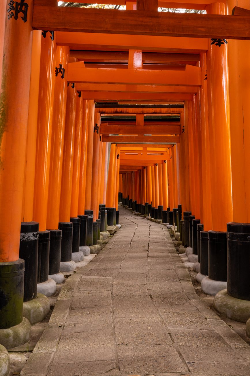 Vermillion torii gates forming a tunnel pathway up Mount Inari with dappled sunlight filtering through the wooden structure.