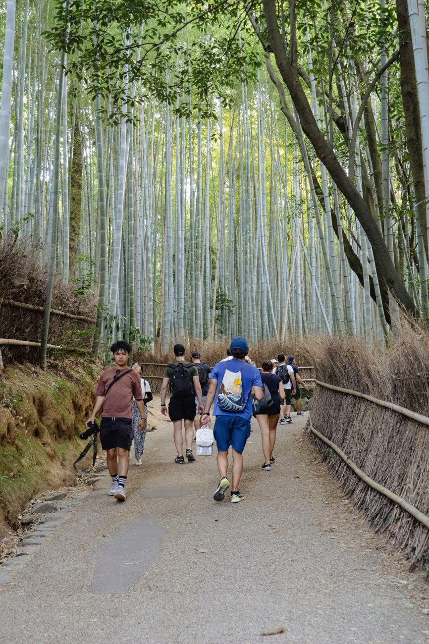 Towering bamboo stalks create a natural corridor with filtered green light along a stone path in Arashiyama, Kyoto.