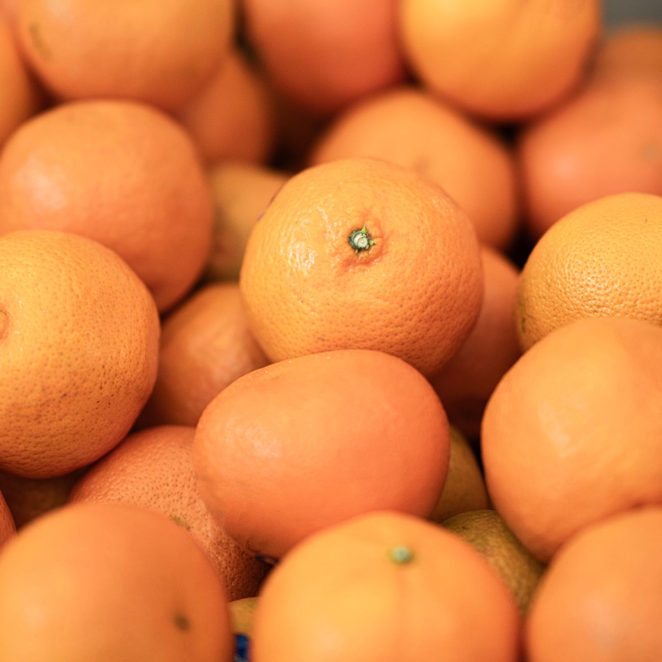 Why Japanese Luxury Fruit Gift Boxes Cost a Fortune (And What They Really Mean)
