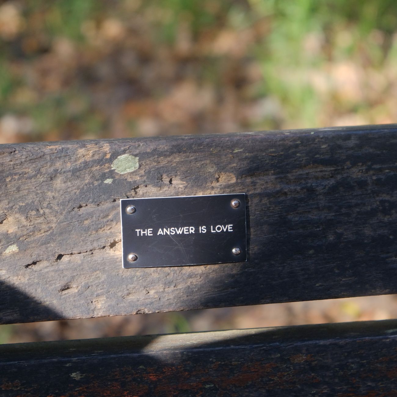 Why Japanese Shrines Are Covered in Wooden Plaques: The Story of Ema