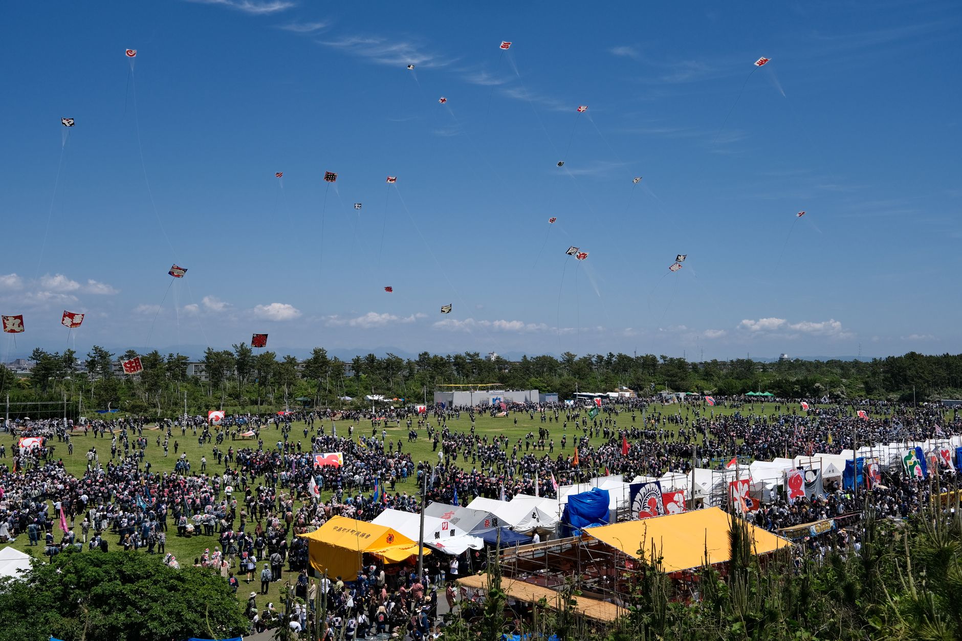 Colorful carp-shaped koinobori streamers flying against blue sky during Children's Day celebration in Japan.
