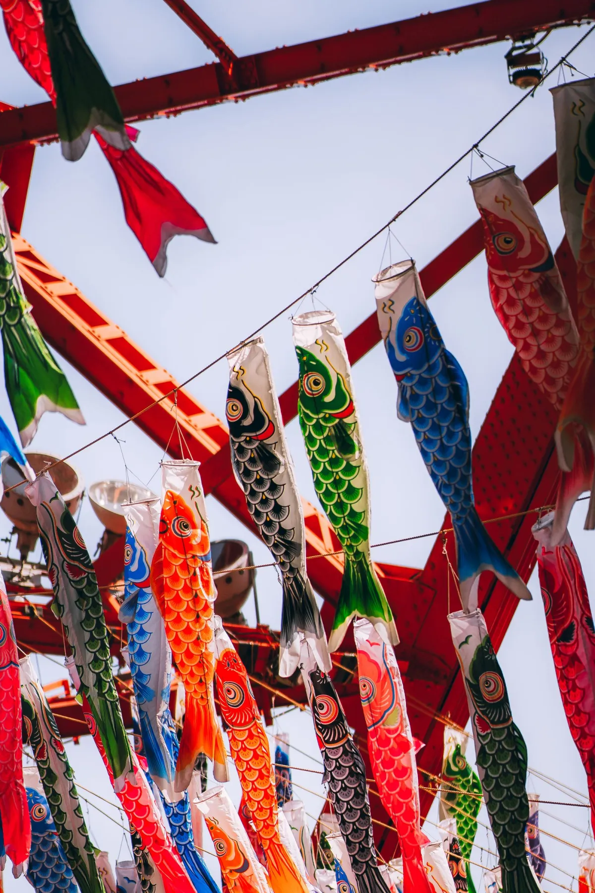 Colorful carp-shaped koinobori streamers flying against blue sky during Children's Day celebration in Japan.
