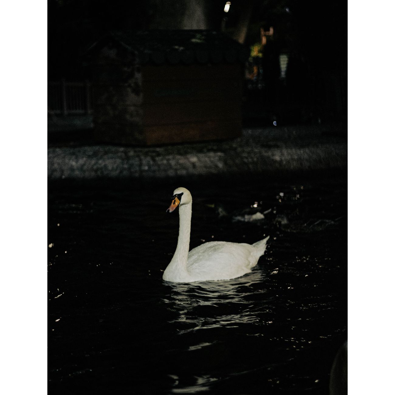 Why Japanese Float Paper Lanterns on Water at Night: The Meaning Behind Tōrō Nagashi