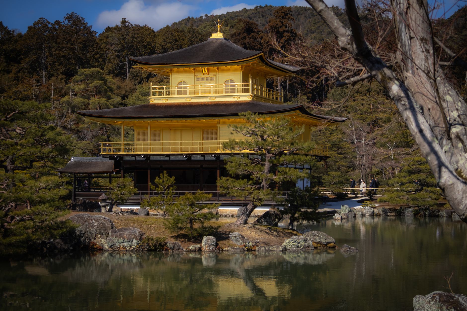 Ancient wooden temple hall with curved tile roof nestled among autumn maple trees in Kyoto's misty hillside forest.