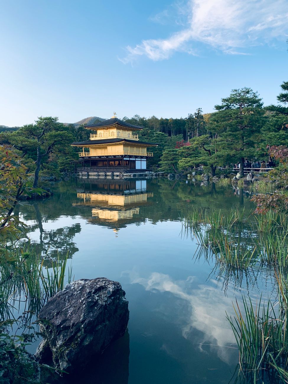 Ancient wooden temple hall with curved tile roof nestled among autumn maple trees in Kyoto's misty hillside forest.