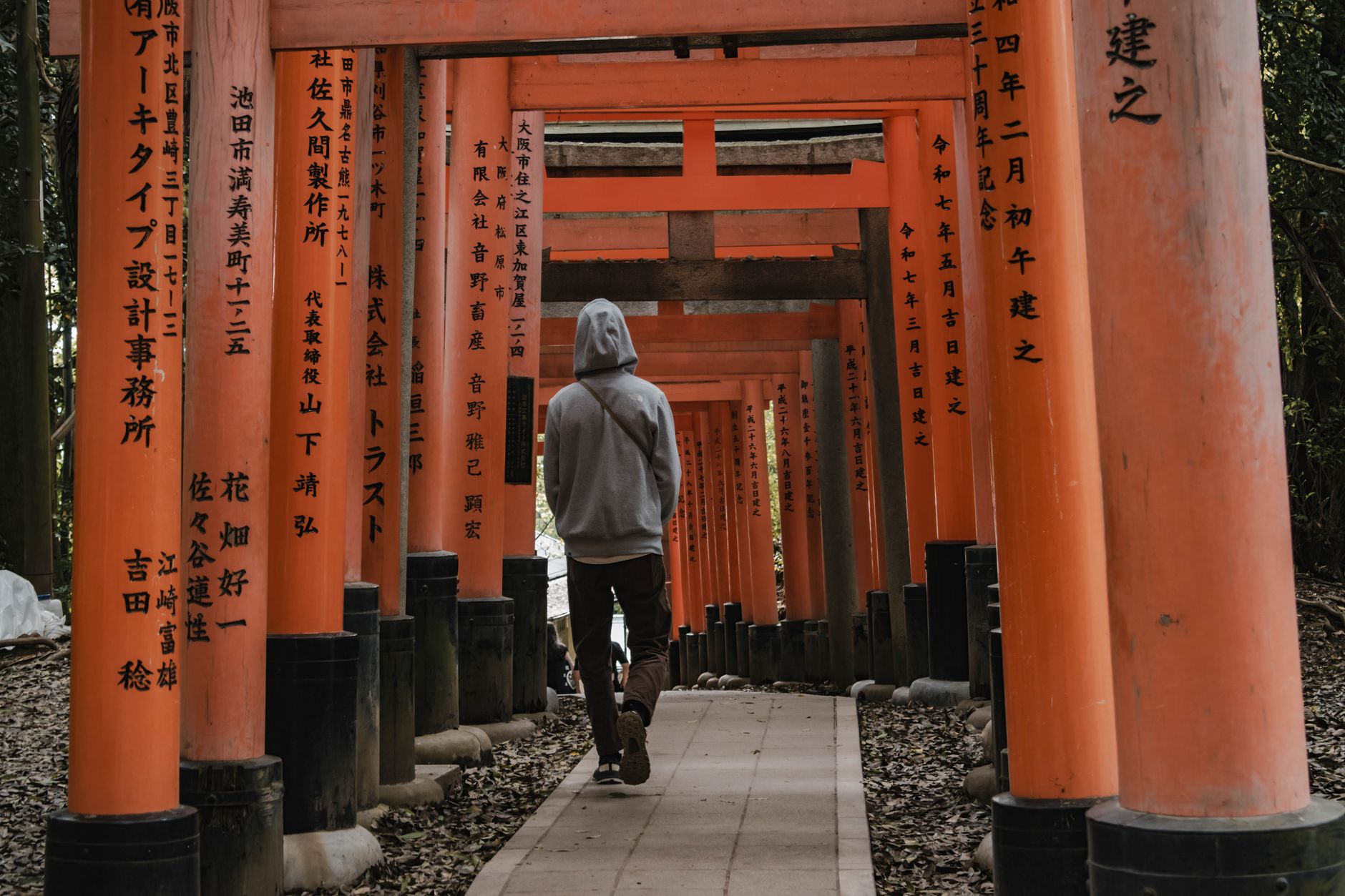Thousands of vermilion torii gates form a tunnel along the forested mountain path at Fushimi Inari Shrine in Kyoto.