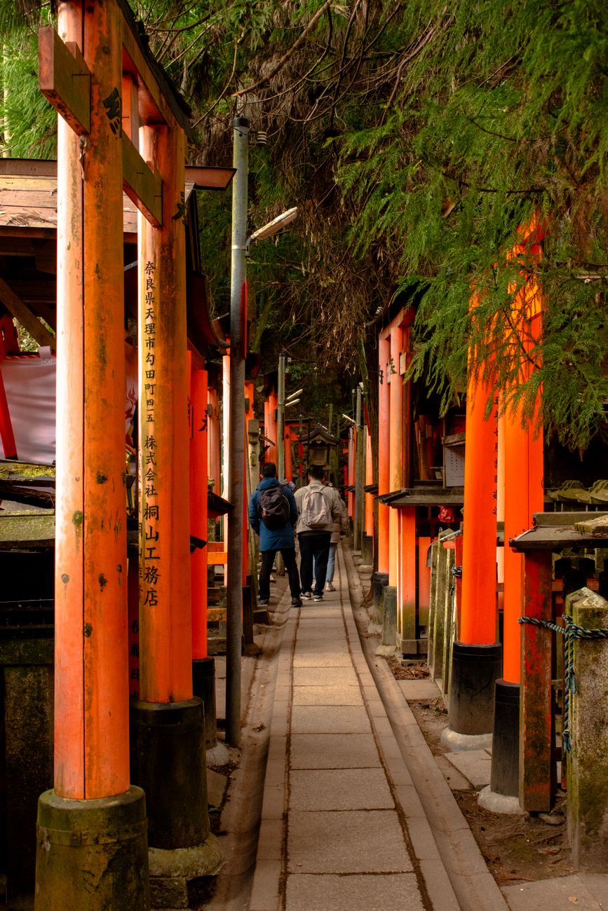 Thousands of vermilion torii gates form a tunnel along the forested mountain path at Fushimi Inari Shrine in Kyoto.