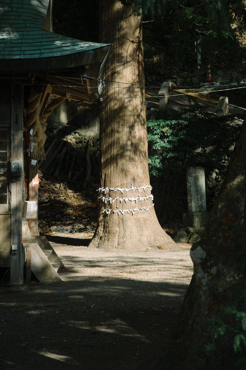 Thick twisted straw rope with white paper streamers hanging across the entrance of a traditional Japanese shrine gate.