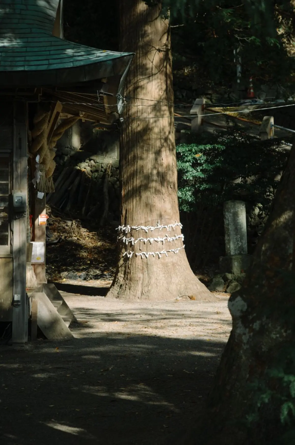 Thick twisted straw rope with white paper streamers hanging across the entrance of a traditional Japanese shrine gate.