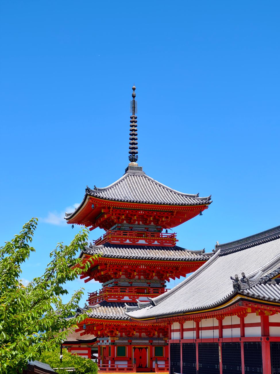 Traditional wooden temple roofs and pagoda rising above Kyoto's historic cityscape with mountains visible in the background.