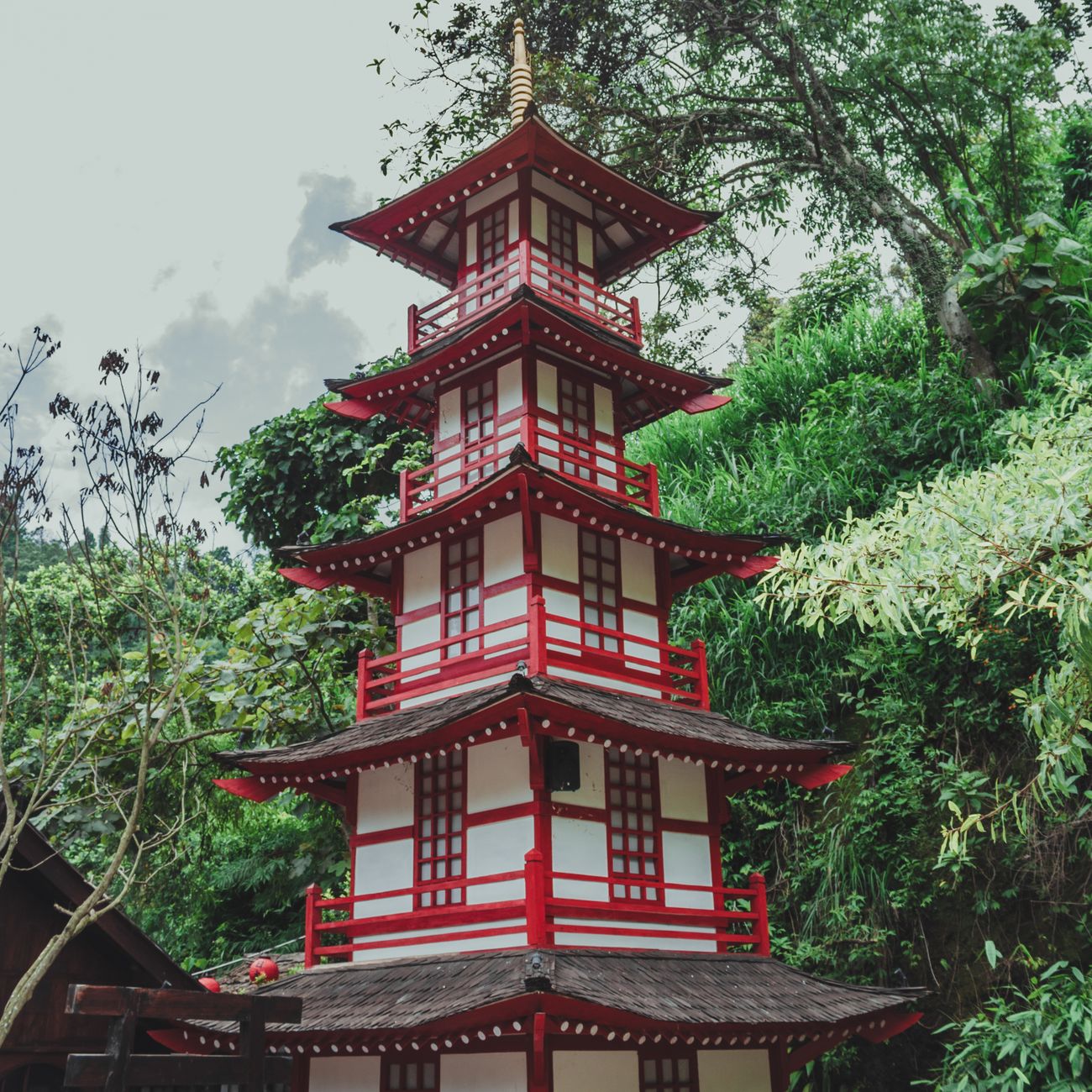 The Meaning of Traditional Japanese Patterns: Stories Woven Into Design