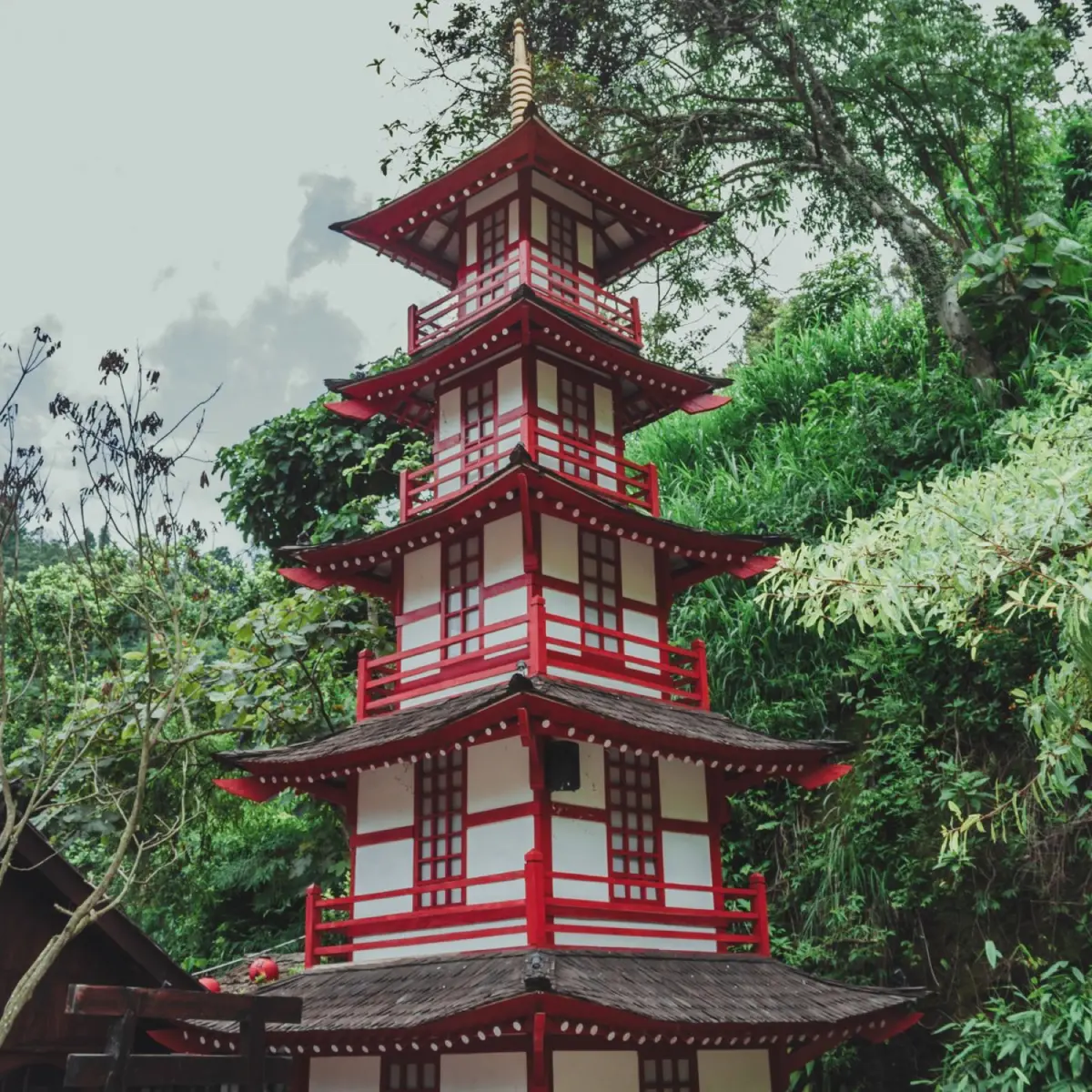 The Meaning of Traditional Japanese Patterns: Stories Woven Into Design