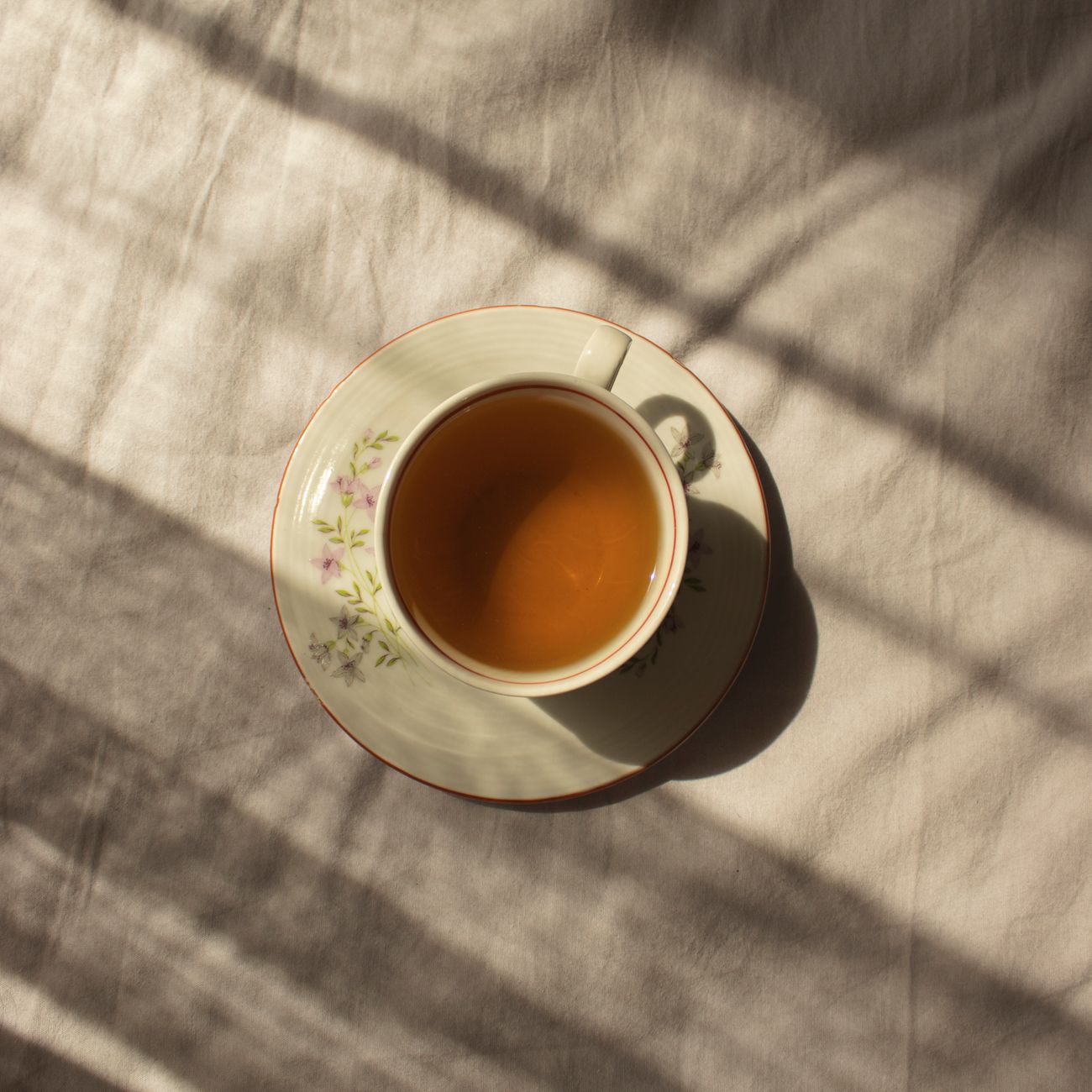 What Is Gyokuro? Japan's Most Prized Shaded Green Tea