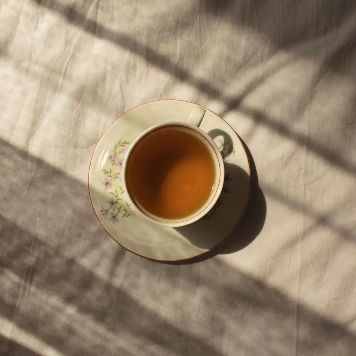 What Is Gyokuro? Japan's Most Prized Shaded Green Tea