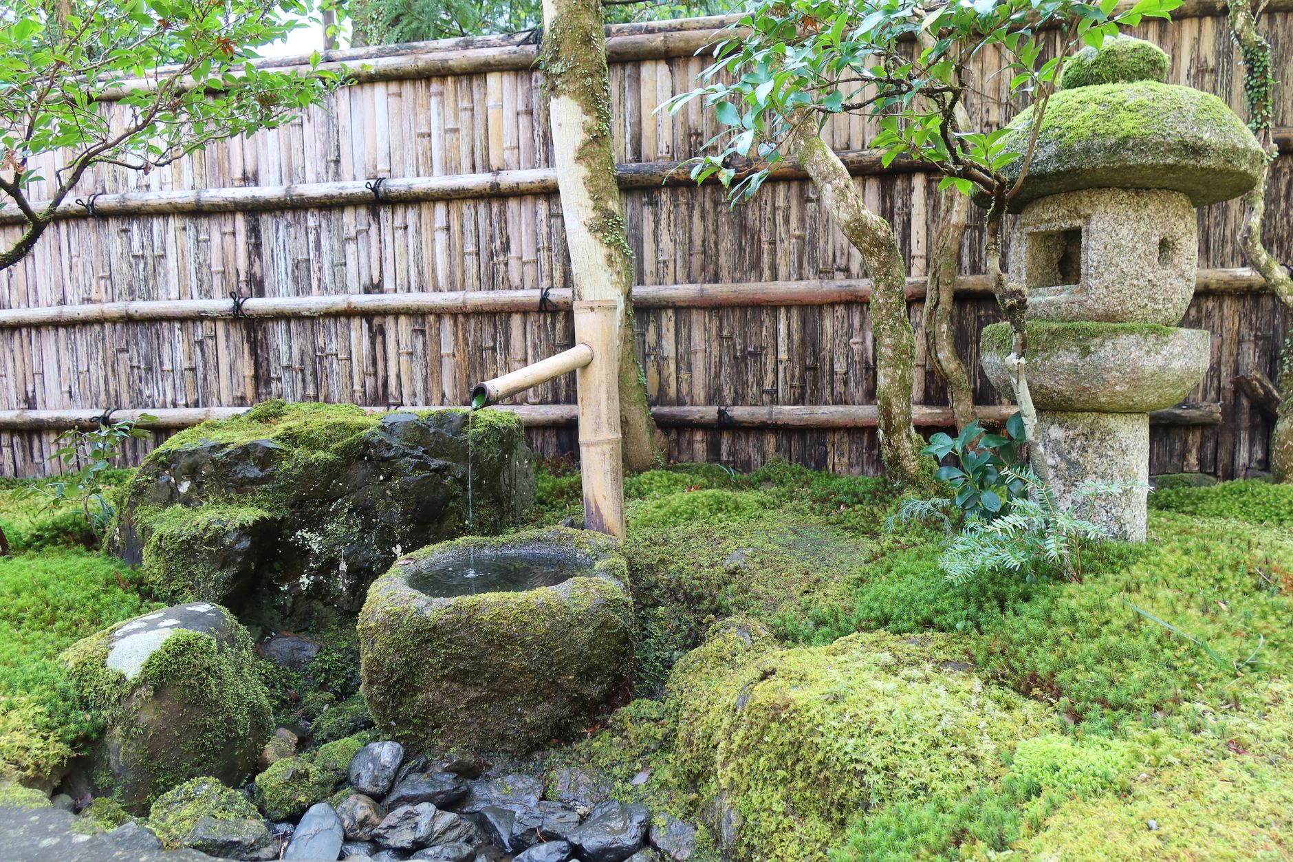 Stone stepping stones winding through moss garden with stone lantern and bamboo fence leading to traditional tea house entrance.