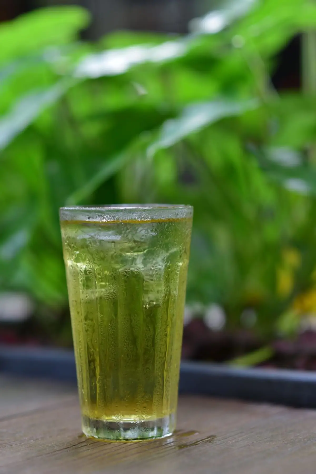 Glass pitcher filled with pale green cold brew tea beside fresh sencha leaves on a wooden table