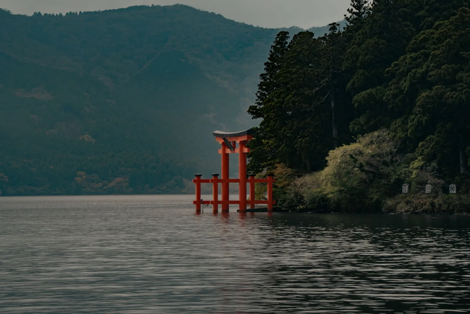 Hakone in Autumn: A Loop of Lake, Ropeway and Silver Grass Near Tokyo