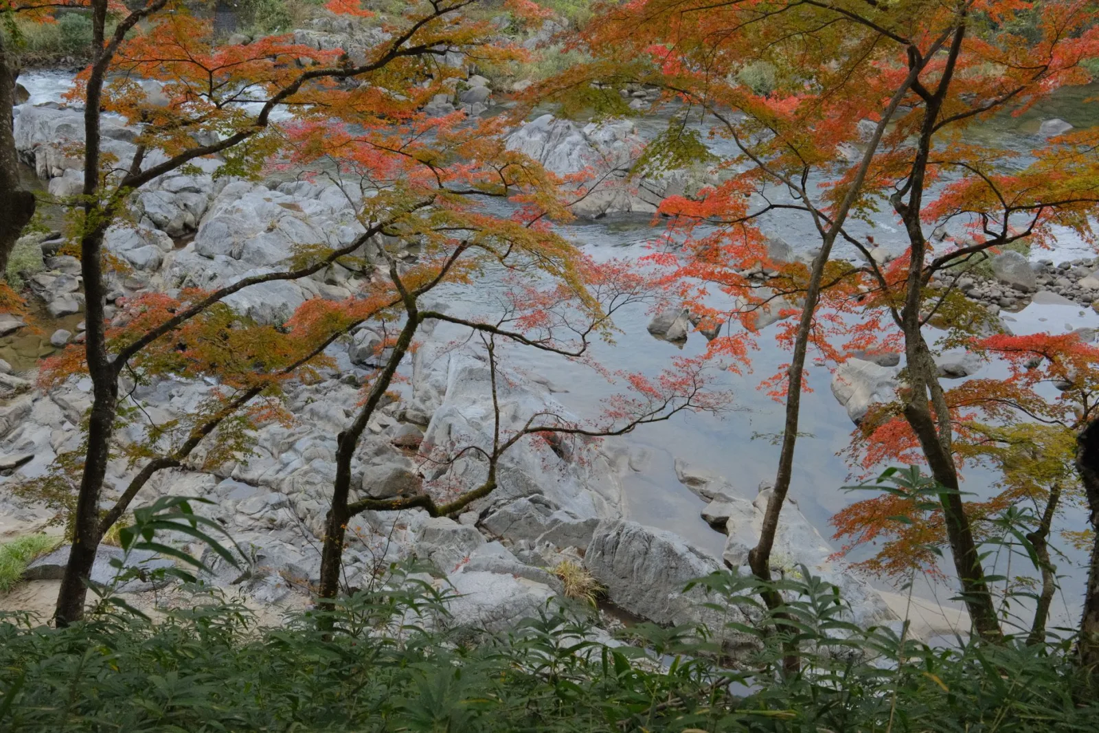 Oirase Gorge in Autumn: Japan's Colour Season Starts Here, in the Far North